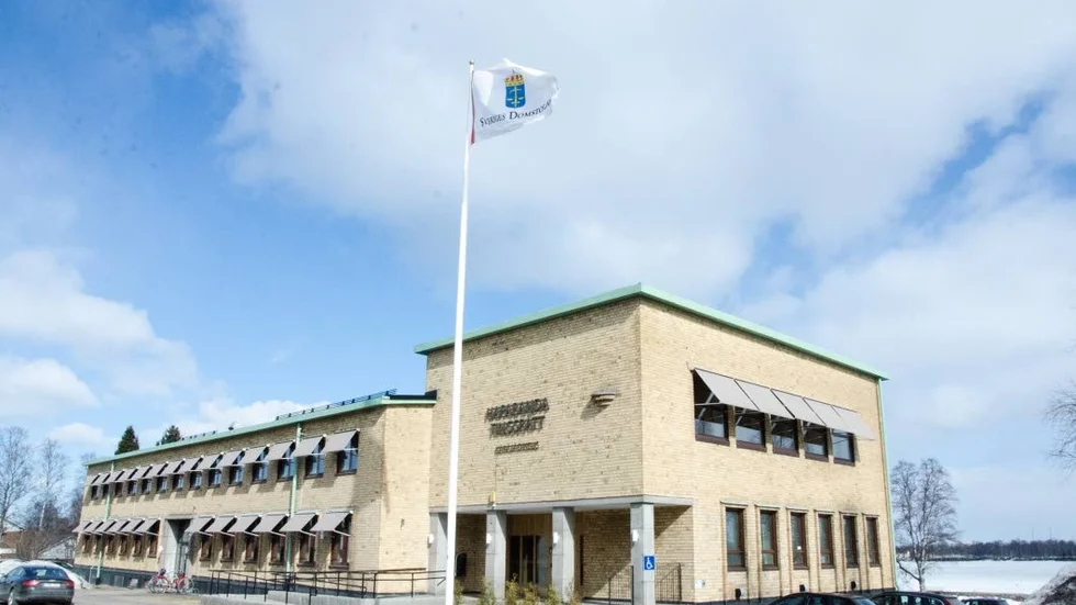 Tingsrätten anför misstankar om att kvinnan är en del i ett större nätverk av organiserad brottslighet. Men det har inte kunnat bevisas, kvinnan döms därför ensam.