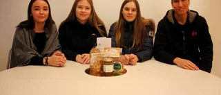 Unga företag visar upp sig på julmarknad