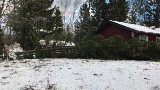 Mitt i stormen Alfridas kaos visade sig många goda krafter. Många boende på Rådmansö, Norrtälje kommun, gick ut för att röja undan träd som låg över vägarna. Samt kolla till grannarnas hus så att allt stod rätt till.