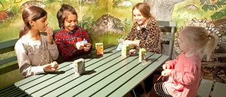 Från Upplands järnbruk till Pelle Svanslös