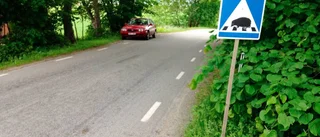 Säker passage för igelkottar