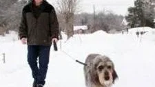 Hunden Dacke tillsammans med sin ägare Anders Henriksson.