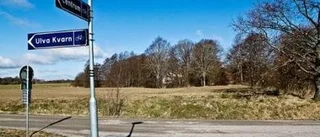 Försvarsmakten säger okej
