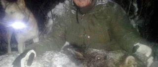 Ökande problem med vildsvin