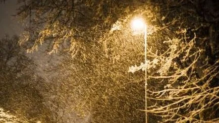 Oslo  20111206.
Biler parkert i Akersveien ble dekket av snø tirsdag kveld.  
Foto: Fredrik Varfjell / Scanpix NORGE / SCANPIX / kod  20520