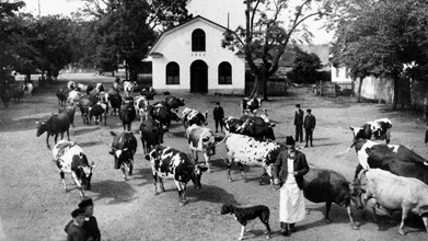 Gysinge bruk på 1890-talet.