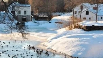 Strömsbergs gamla järnbruk kan vara en möjlig källa till förekomsten av dioxiner i Lövstabukten.