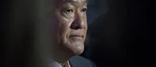 Japans industri bromsar in