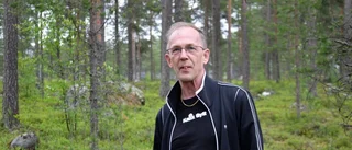 Tror på högre blåbärspriser