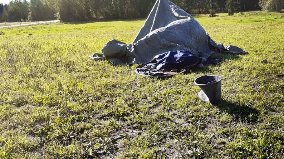 Hästarna legat döda i hagen i flera dagar men ska nu tas till SVA för att polisen ska kunna fastställa dödsorsak.