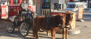Tog hästarna till macken – för att tanka diesel: "Bättre för klimatet"