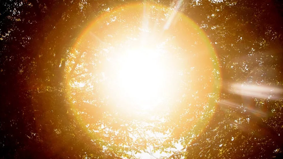 Septemberlyran. ”Jag går på sol, jag står på sol,/ jag vet av                             ingenting annat än sol.” Så lyder kända rader ur inledningsdikten ”Triumf att finnas till”.