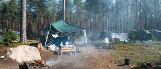 Stora problem med bärplockarläger