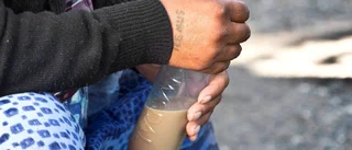 Migranter är uppsalabor
