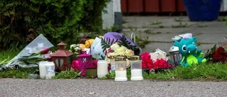 Pappan ska ha velat bli gripen