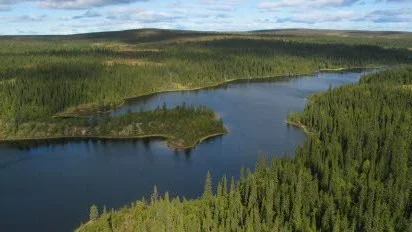 URSKOG. Naturreservatet Pessinki fjällurskog ligger både i Kiruna och Pajala kommuner.