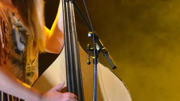 Stella Bondesson, Baskerys bas.
