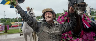 Elitloppsvinnaren till Boden