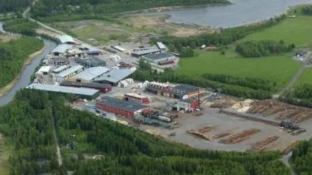 Ett 60-tal personer berörs av BAC Såg och Hyvleri AB:s konkurs.FOTO: Magnus Pehrsson