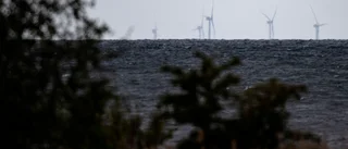 Dålig idé med vindkraft i havet i Västerbotten