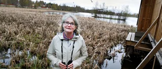Oroande beskedet – fåglarna försvinner