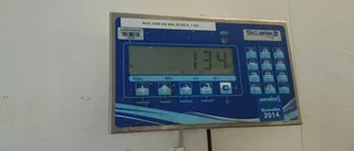 Bottennapp var131kilo monsterfisk