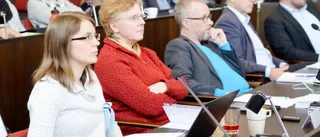 Diskussion om gränsen