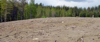 Granskning/Grusgropen som försvann