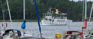 Alldagliga värden