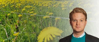 "Liberalerna riskerar Miljöpartiöde"