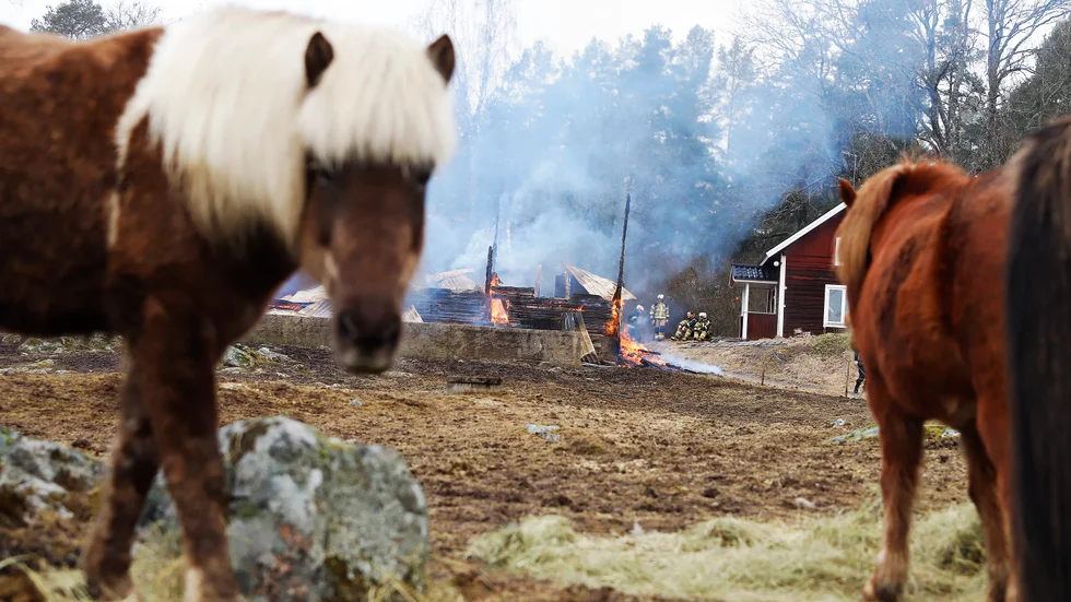 Ladugården i Södra Norlång, som även inrymde stall, totalförstördes i tisdagens brand.