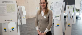 Vattenfall presenterade planerna på vindkraftpark i Råne älvdal