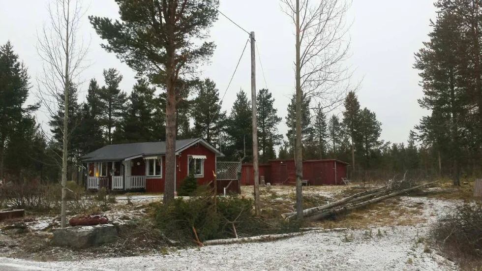I BACKEN. De tre aspar som Vattenfall fällt ligger kvar på Hanna Henrikssons tomt. Asparna planterades av Hanna Henrikssons far och ena bror för nära 40 år sedan. Att det blev fyra stycken beror på att syskonskaran bestod av just fyra barn.