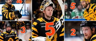 Tre spelare får full pott – när AIK tar julledigt: ”Vissa av er tycker kanske att jag är galen” • RÖSTA: Vem har varit bäst?