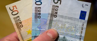 EMU-medlemskap skulle göra oss sårbara