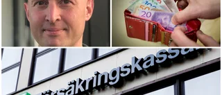 Så avslöjar myndigheten bidragsfuskarna