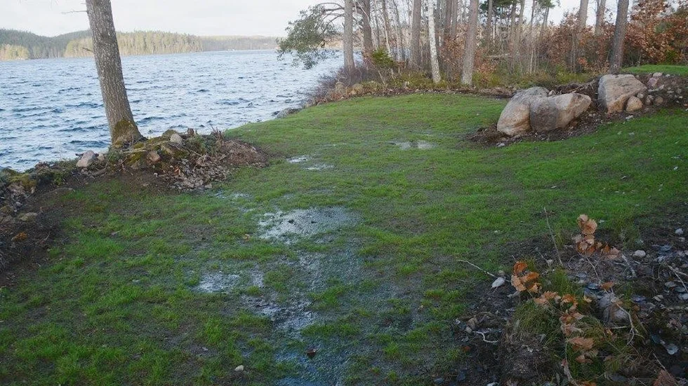Vid sjökanten, där strandskydd och naturmark råder, så har en ny gräsmatta såtts. 