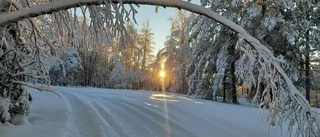 Läsarbilden: Naturens egen portal