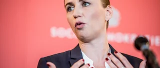 Den danska lösningen är ingenting för Sverige