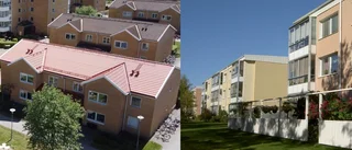 Hållbara satsningar belönades • "Vi satsar för framtiden och för att sänka kostnaderna" • Nya buskar och värmebesparing