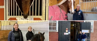 Allt fler ryttare från Åtvidaberg söker sig till Överums ridskola