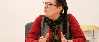 MP om vindkraft i Orreklint – miljöprövning får avgöra
