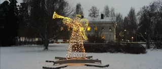 Läsarbilden                   