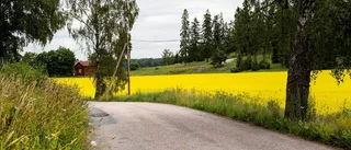 Dags att höja blicken mot landsbygden