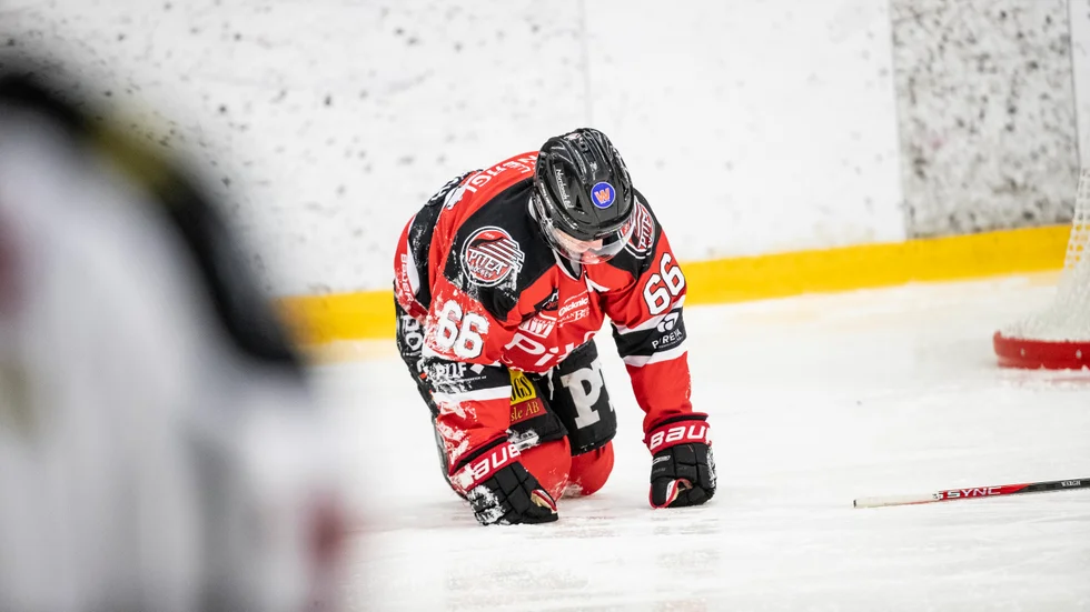 Piteås Tommy Wargh fick hjärnskakning efter en huvudtackling mot Boden.