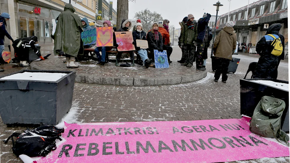 Rebellmammorna, fotograferade i februari i år.