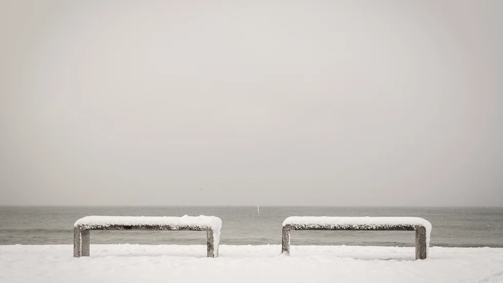 Månadens bild februari