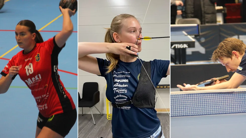 En multiarena skulle ge Enköping en ny dimension som idrottsstad. 
