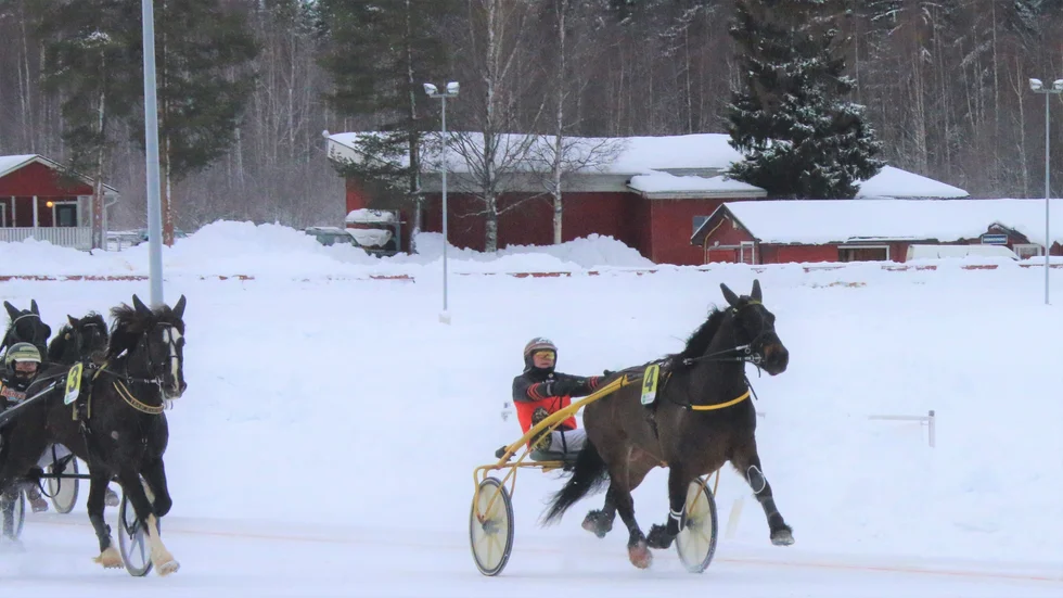 Tåga Storm vinner första loppet för säsongen i Skellefteå. Ove A Lindqvist rattade in till seger. Bodenamatören Madelene Wiksten tränar.