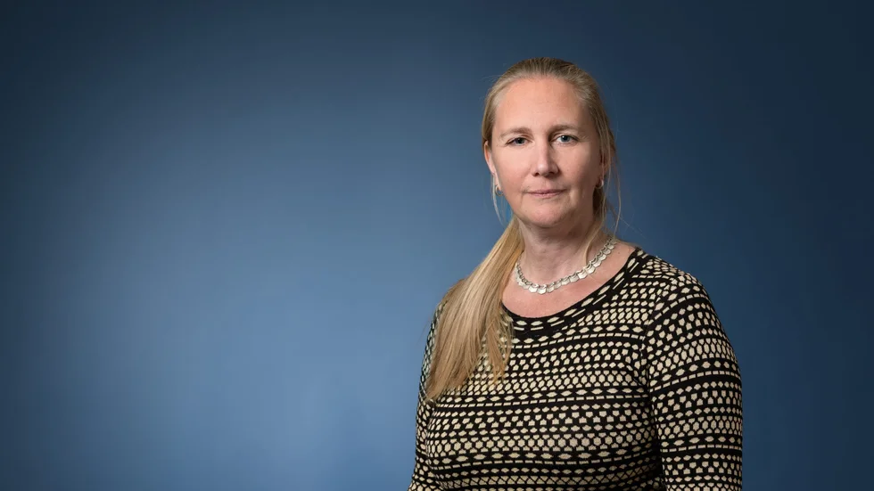 Carin Westerlund är rådman vid Domstolsverket. Risken för att barnet eller någon i familjen utsätts för övergrepp/våld är oerhört svårbedömd enligt henne.